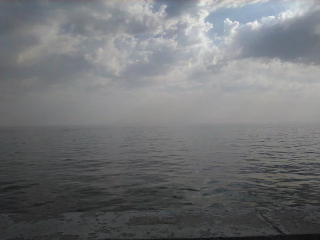 IMG-0294.webp
