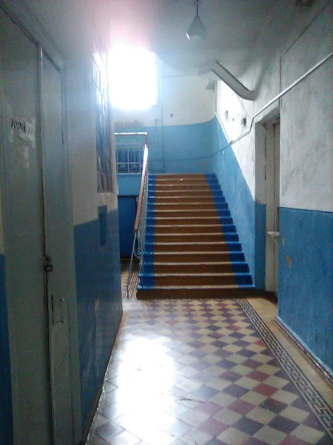 IMG-0440.webp