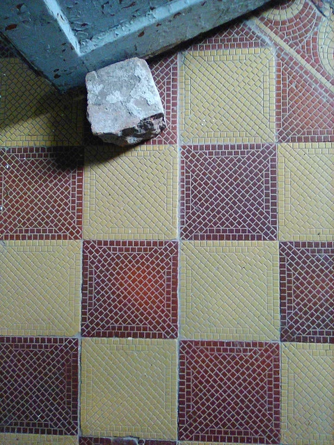 IMG-0446.webp