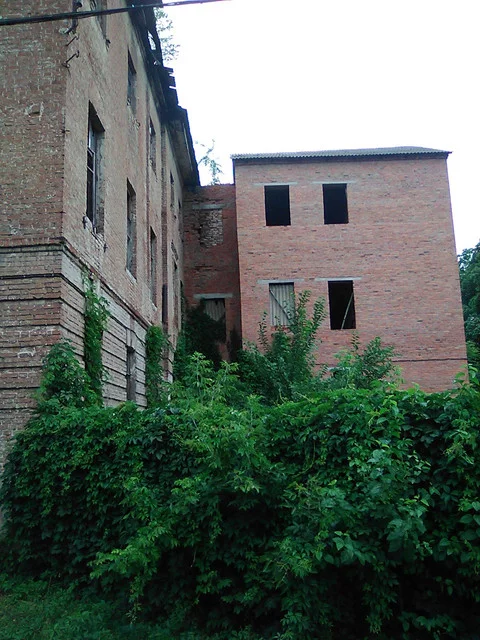 IMG-0448.webp
