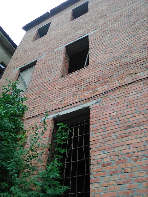 IMG-0451.webp