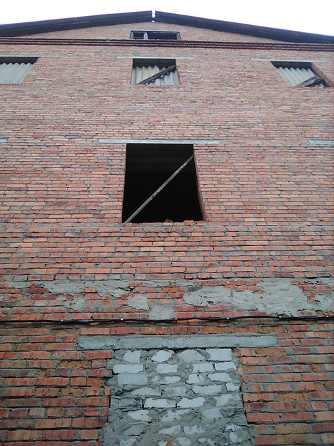 IMG-0453.jpg