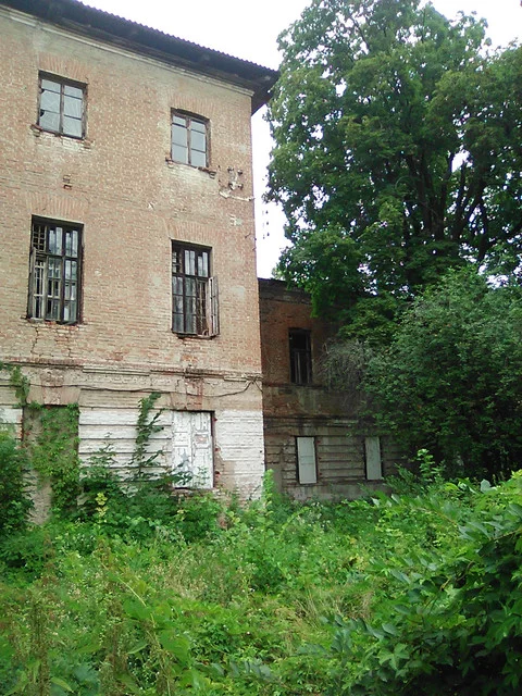 IMG-0455.webp
