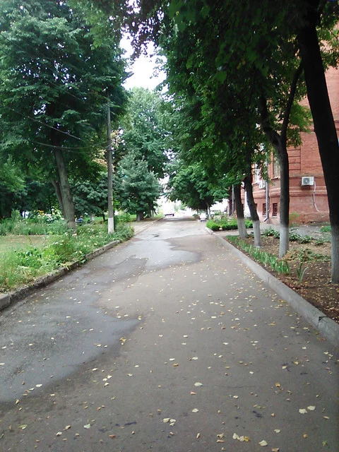 IMG-0458.webp
