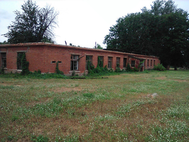 IMG-0472.jpg