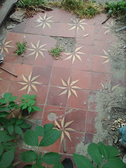 IMG-0494.webp