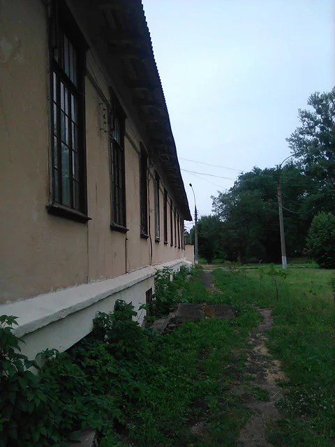 IMG-0508.webp