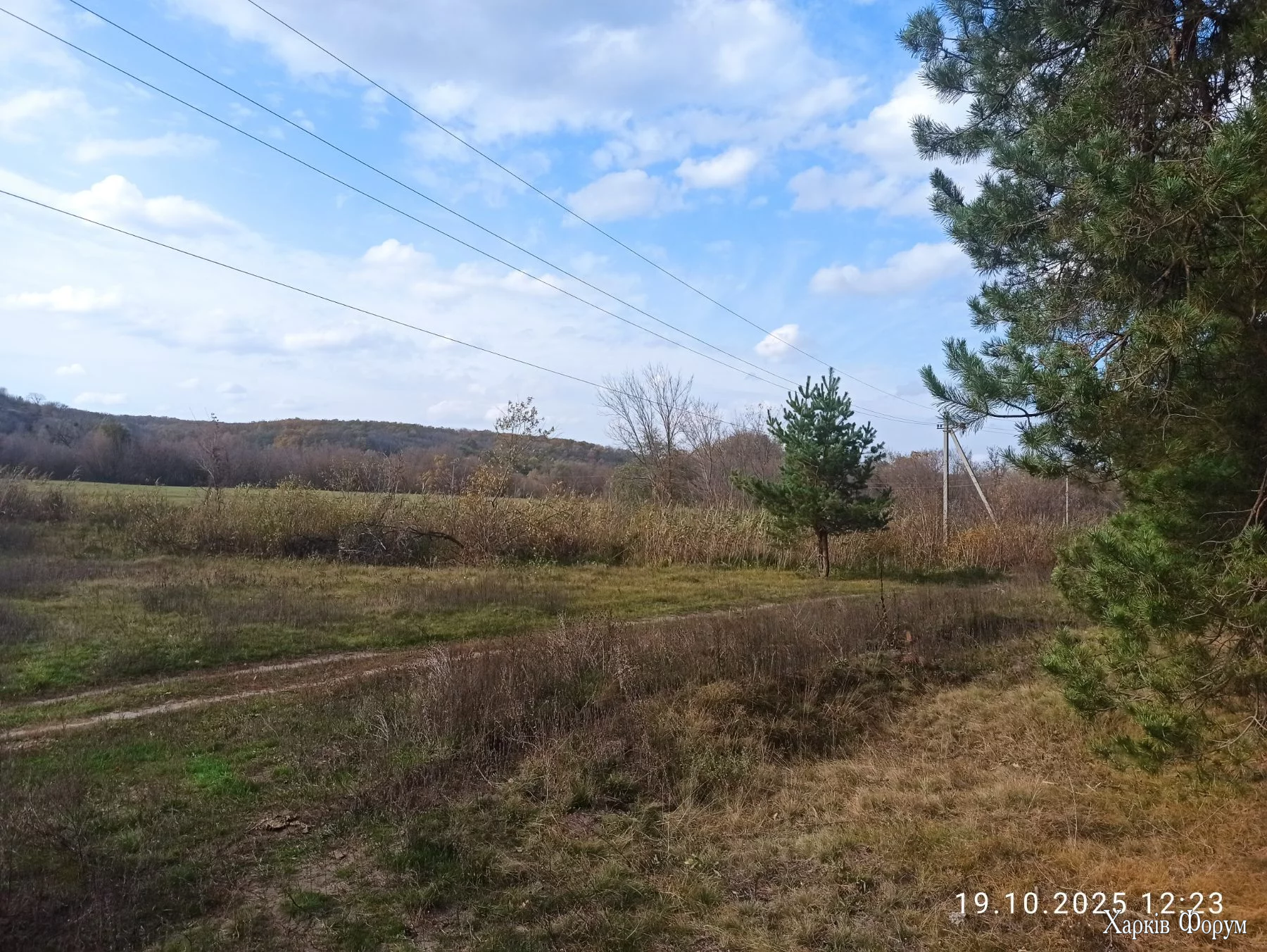 IMG-0590480956825426968b172b7f743daf-V.webp