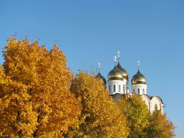 IMG-1793.webp
