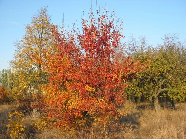 IMG-1819.webp