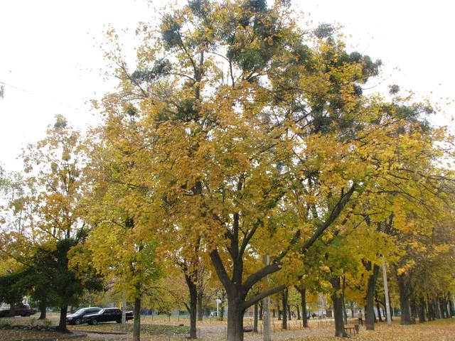 IMG-1858.webp