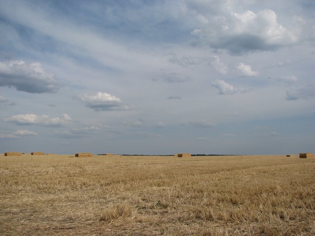 IMG-1885.jpg