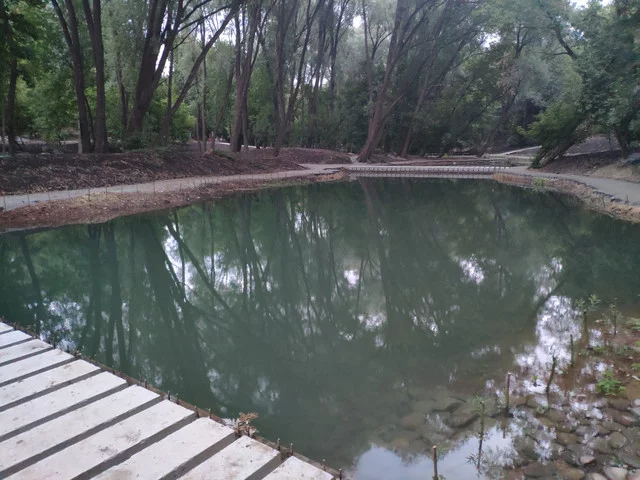 IMG-20190630-205350.webp