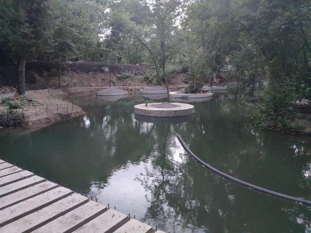 IMG-20190630-205405.webp