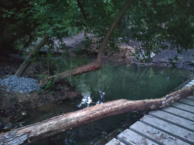 IMG-20190630-205656.webp