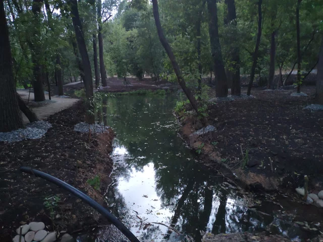 IMG-20190630-205721.webp