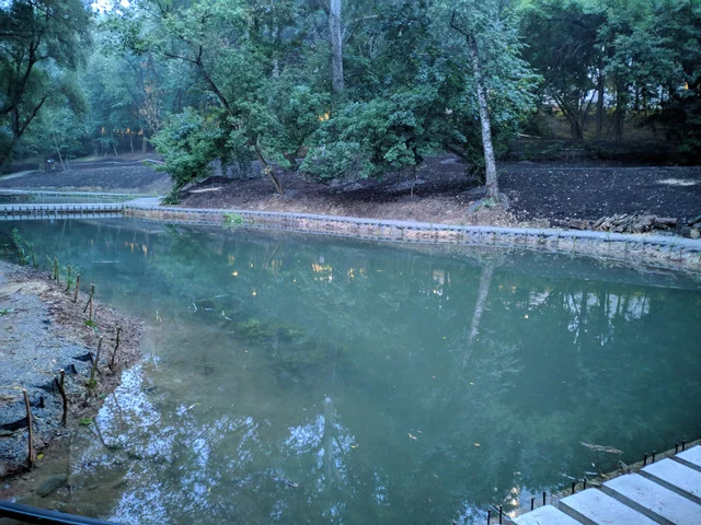 IMG-20190707-210417.webp