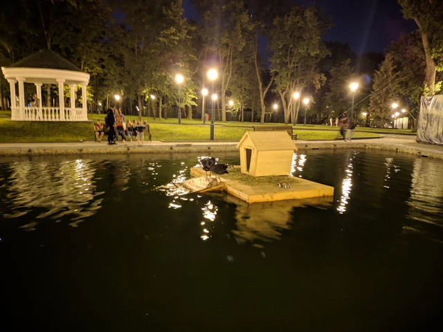 IMG-20190717-231829.webp
