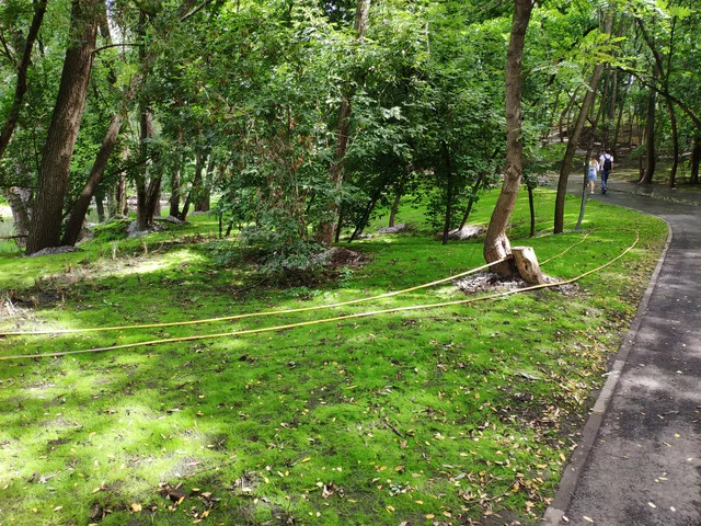 IMG-20190803-124004.webp