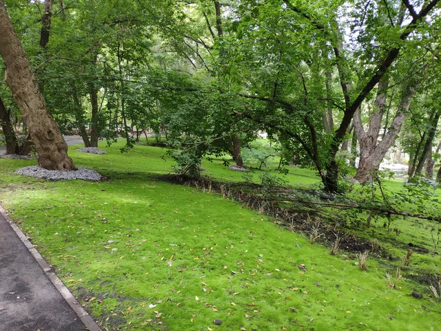 IMG-20190803-124105.webp