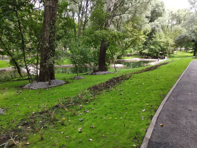 IMG-20190803-124110.webp
