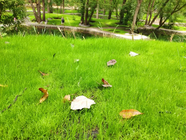 IMG-20190803-124133.webp