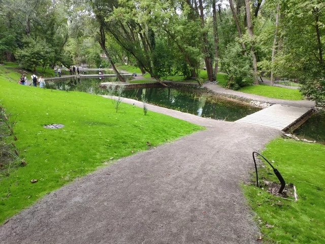 IMG-20190803-124235.webp