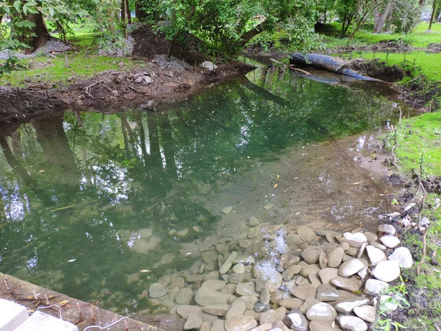 IMG-20190803-124249.webp