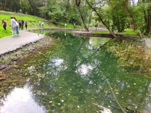 IMG-20190803-124300.webp