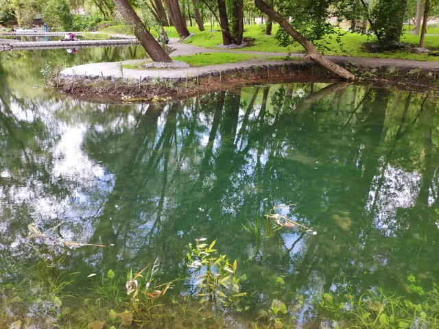 IMG-20190803-124339.webp
