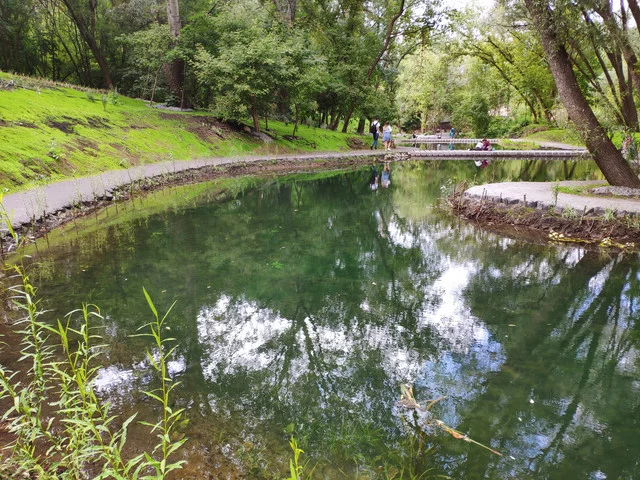 IMG-20190803-124341.webp