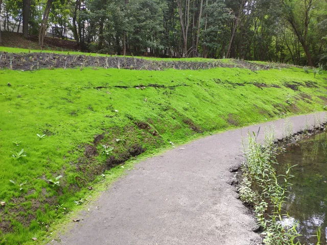 IMG-20190803-124349.webp