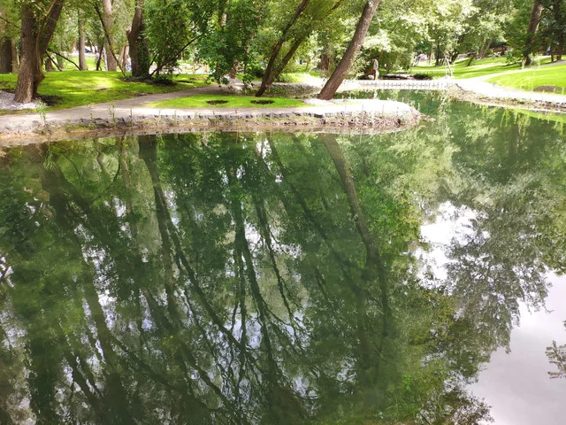 IMG-20190803-124423.webp