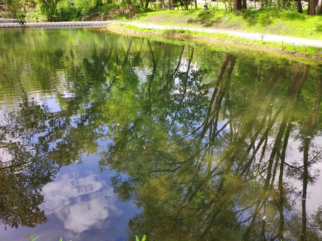 IMG-20190803-124635.webp