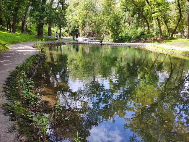 IMG-20190803-124637.webp