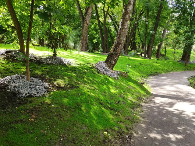 IMG-20190803-124649.webp