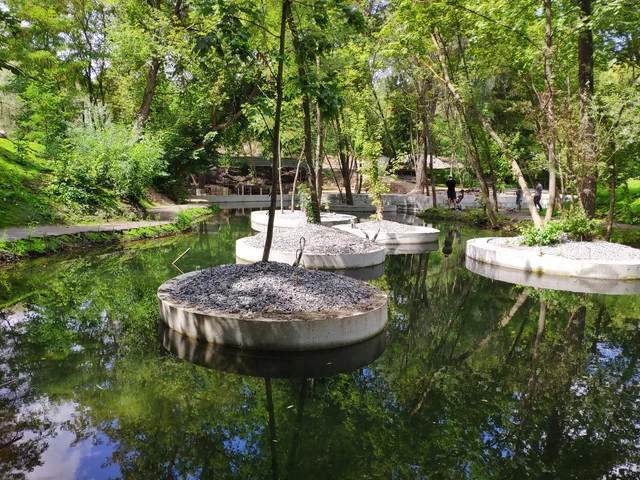 IMG-20190803-124733.webp