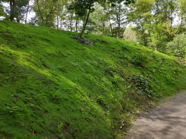 IMG-20190803-124746.webp