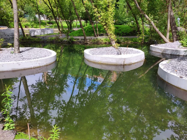 IMG-20190803-124820.webp