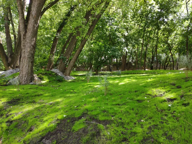 IMG-20190803-125008.webp