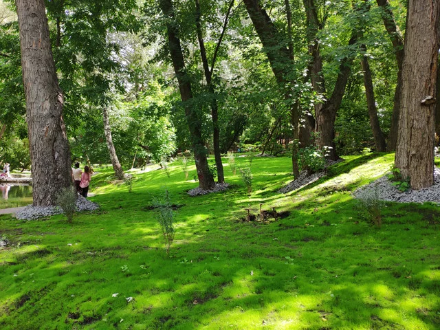IMG-20190803-125030.webp