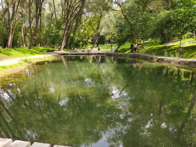 IMG-20190803-125050.webp