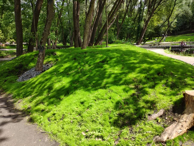 IMG-20190803-125108.webp