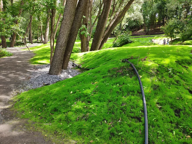 IMG-20190803-125122.webp