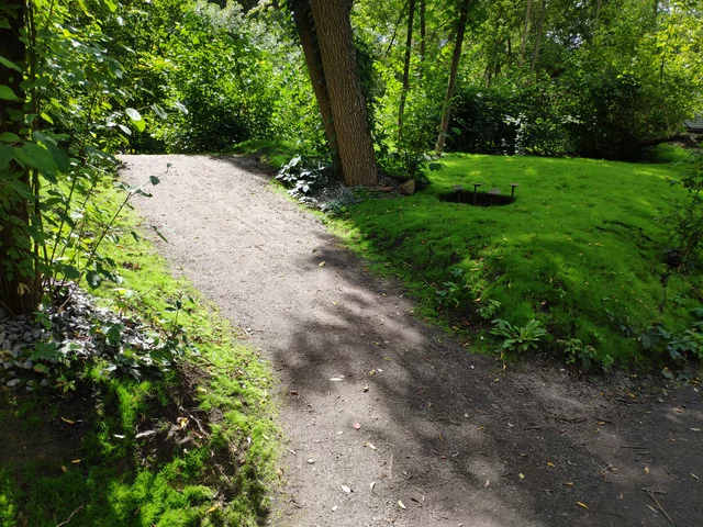 IMG-20190803-125141.webp