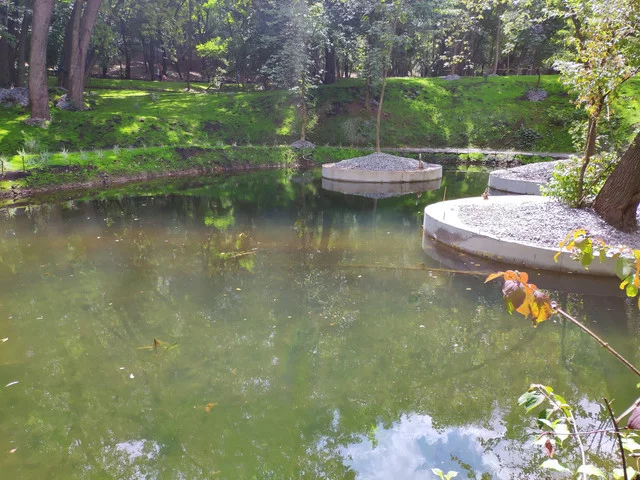 IMG-20190803-125204.webp