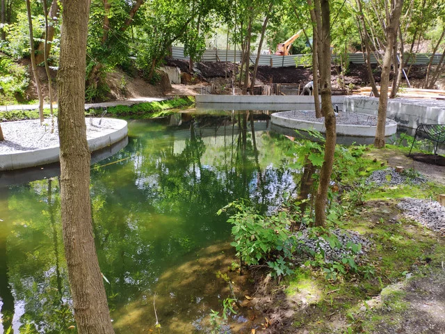 IMG-20190803-125216.webp