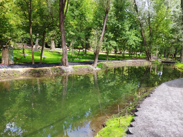 IMG-20190803-125318.webp
