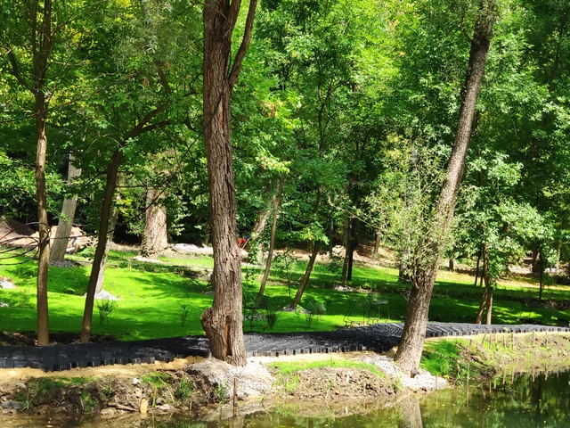 IMG-20190803-125325-1.webp