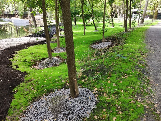 IMG-20190803-125508.webp